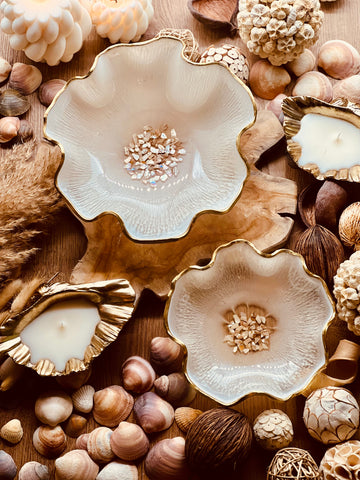 Resin shells in white with mother-of-pearl